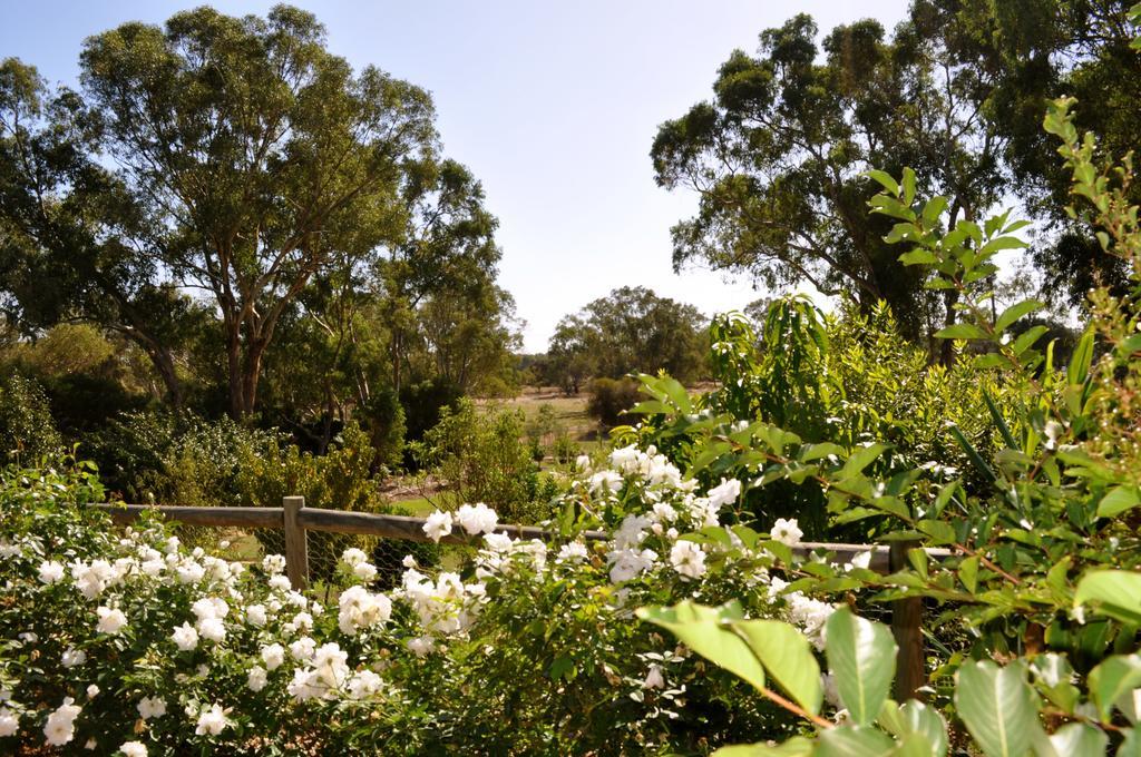Guildford River Retreat Perth Extérieur photo